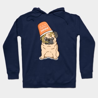 Pug Noodles Hoodie